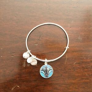 Alex and ani charm bracelet 🧩